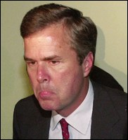 Up from the ground came a load of Gore votes.  Ooops?